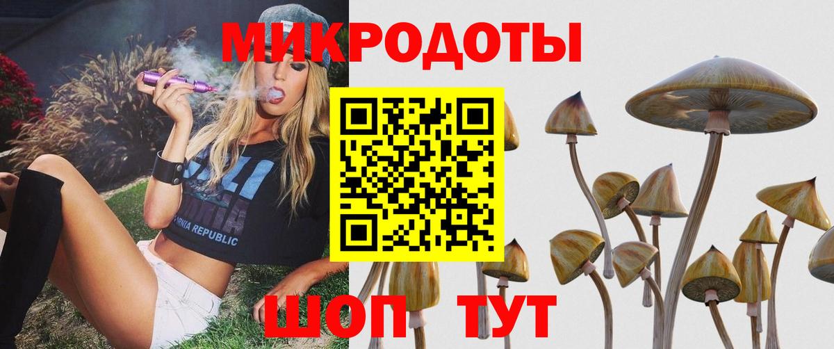 Галлюциногенные грибы Cubensis  Вход с VPN  Менделеевск 